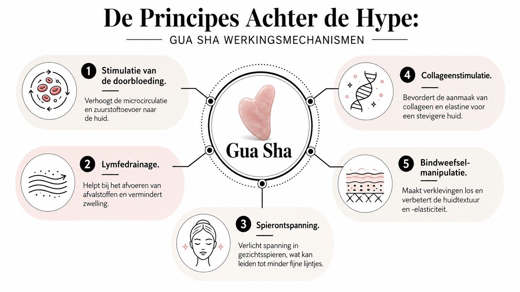 Een informatieve infographic over de verschillende gezondheidsvoordelen en werking van Gua Sha gezichtsmassage technieken en mechanismen.