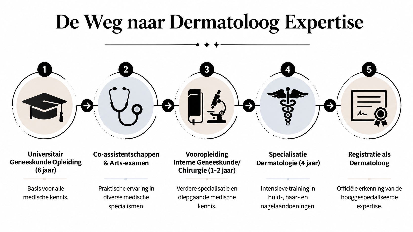 Een stroomschema dat de vijf stappen toont van de opleiding tot dermatoloog, van geneeskunde tot registratie.