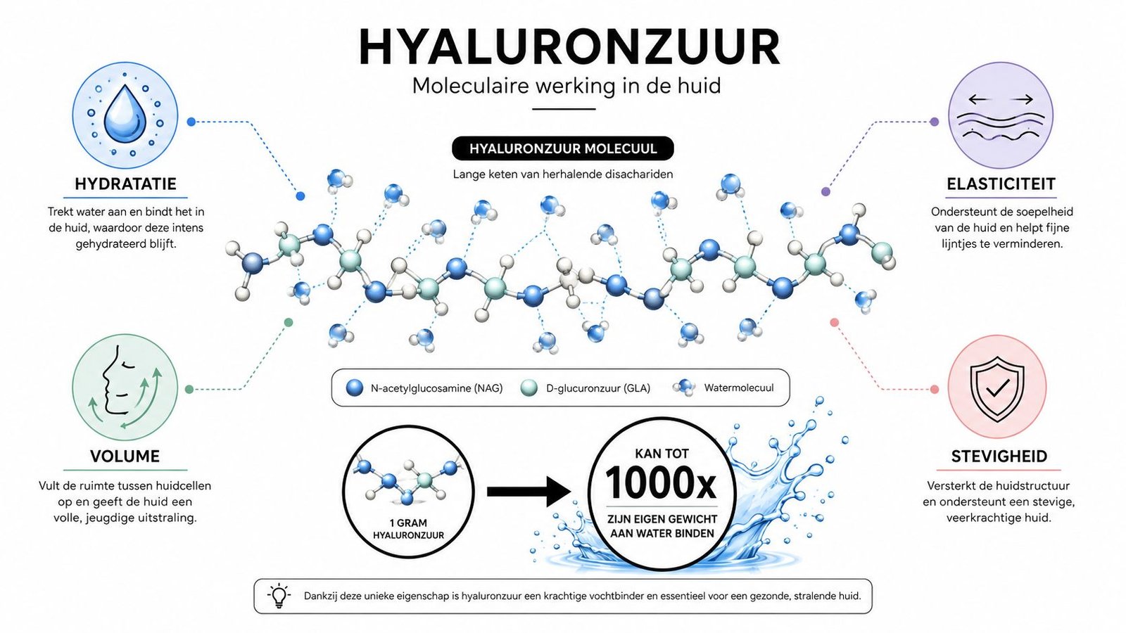 Een informatieve infographic over de moleculaire werking en voordelen van hyaluronzuur voor een gehydrateerde en stevige huid.