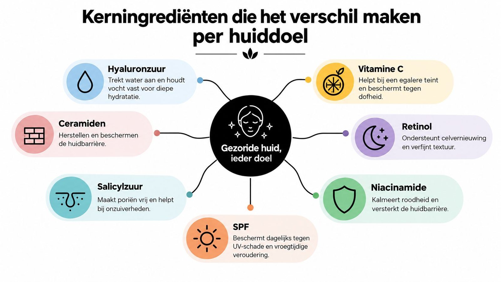 Een overzichtelijk schema met de belangrijkste huidverzorgingsingrediënten en hun voordelen voor een gezonde huid.