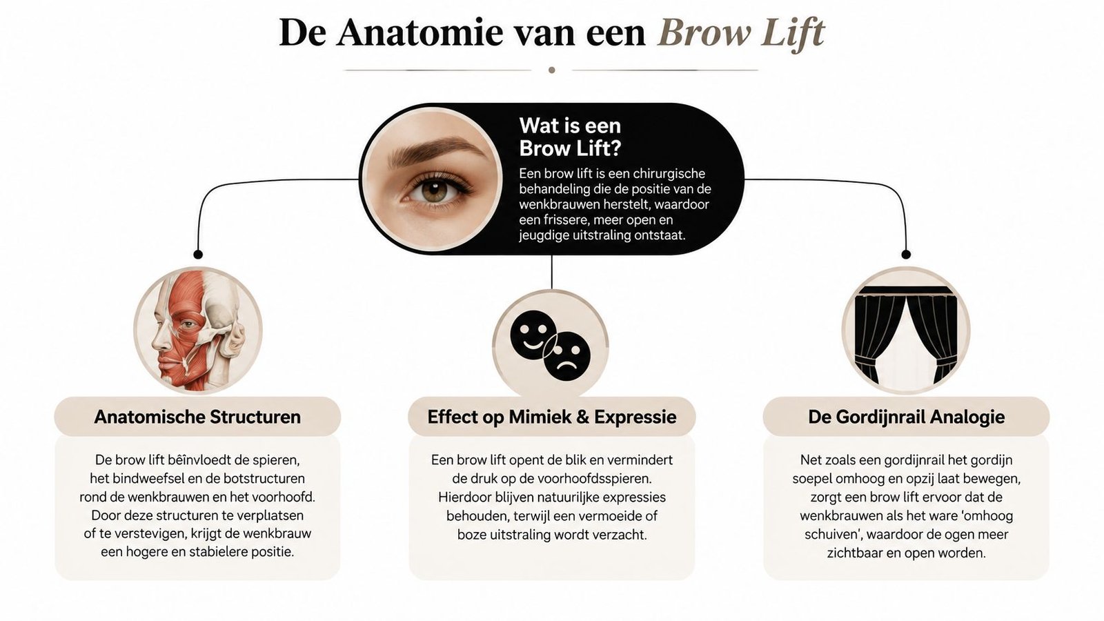 Een informatieve infographic die de anatomie en effecten van een chirurgische wenkbrauwlift op het gezicht uitlegt.