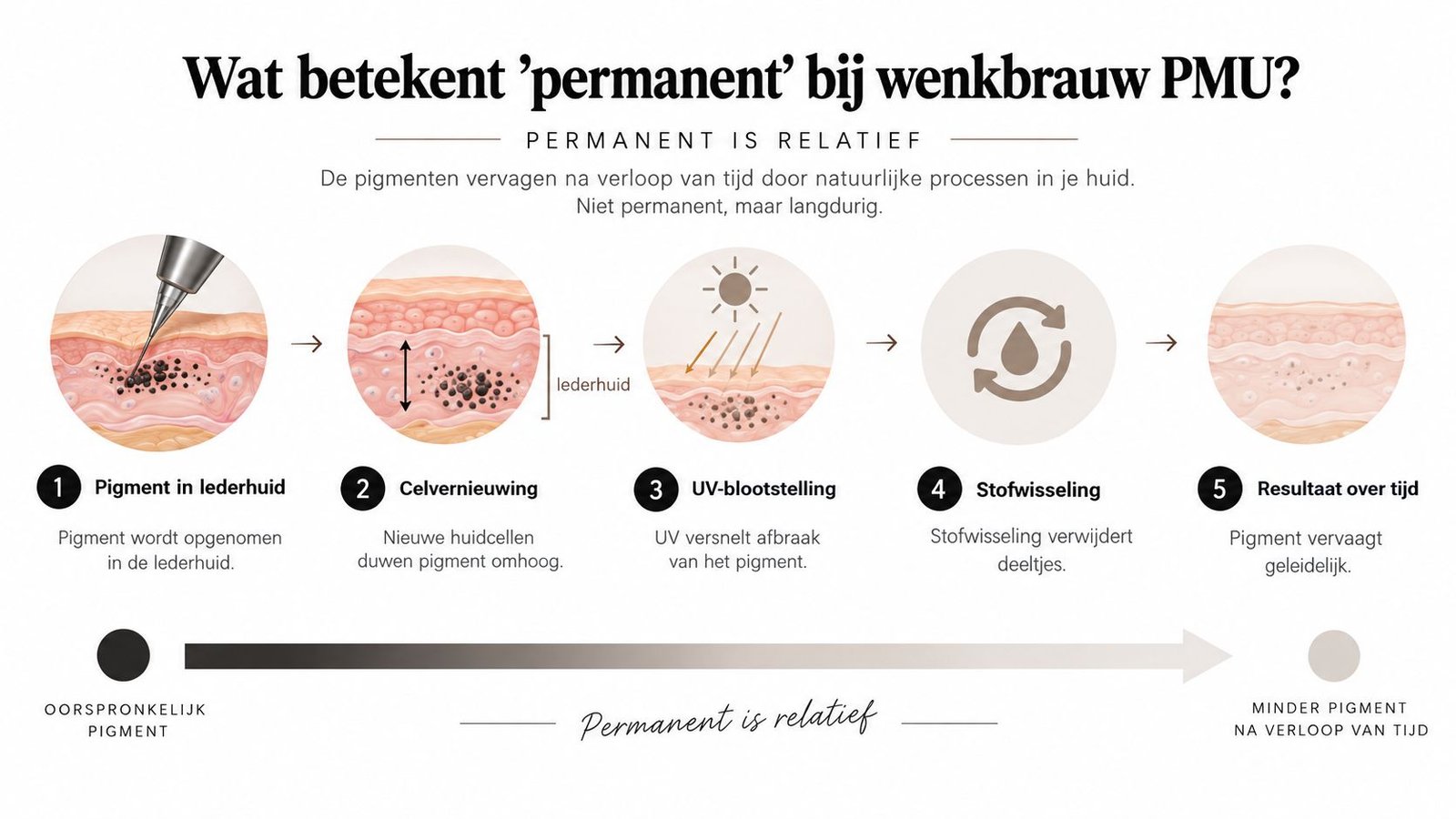Een infographic die uitlegt hoe permanente make-up wenkbrauwen na verloop van tijd vervaagt door natuurlijke huidprocessen.
