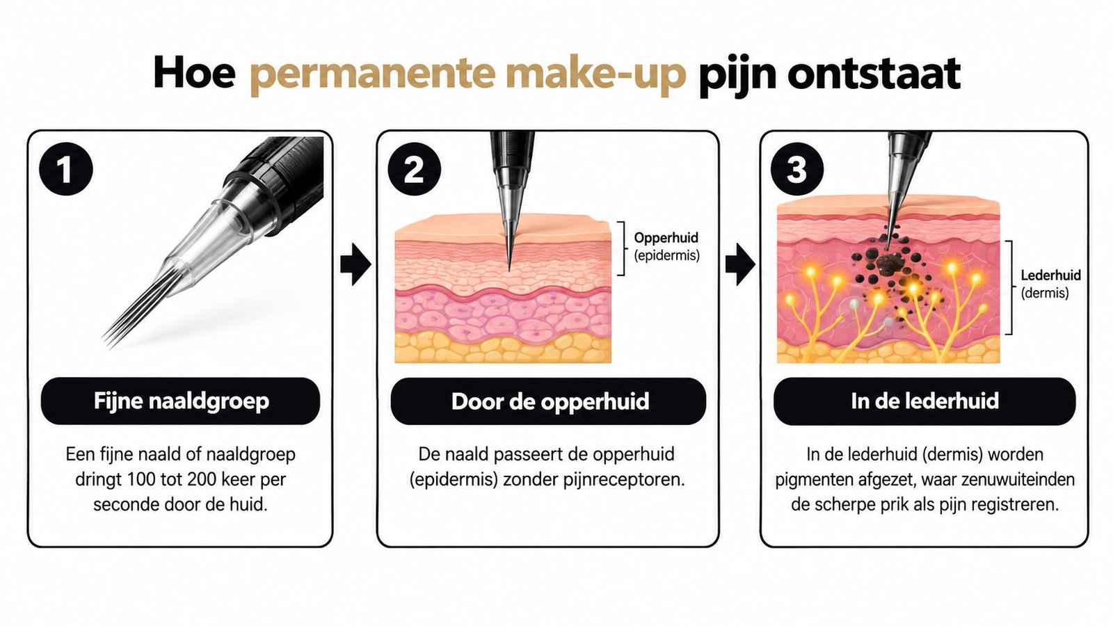 Een infographic die in drie stappen laat zien hoe permanente make-up pijn veroorzaakt in de lederhuid.